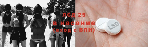 шишки Арсеньев