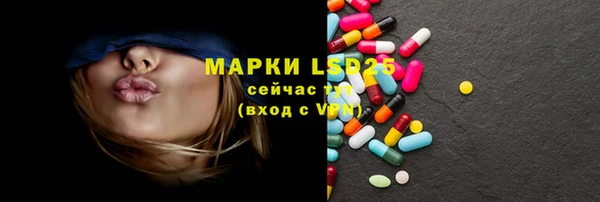 индика Нягань