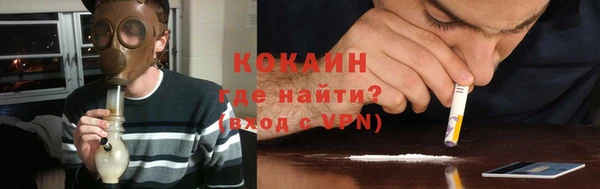 шишки Арсеньев