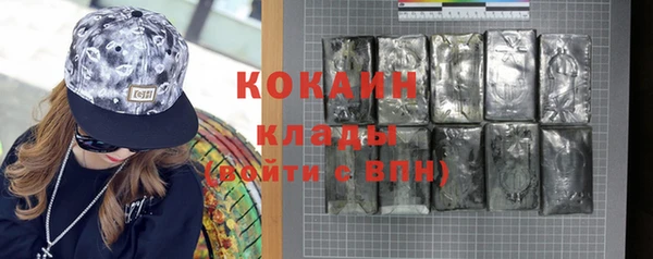 шишки Арсеньев