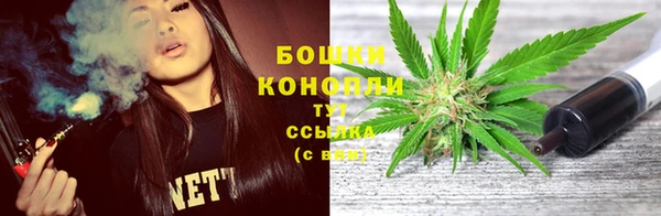 шишки Арсеньев